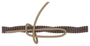 Whipping Knot start